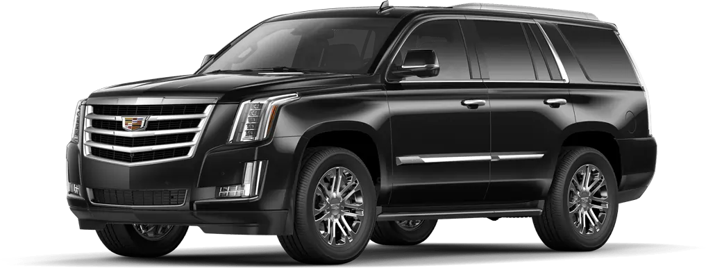 Luxury Suburban SUV for Airport Transfers in Hamilton